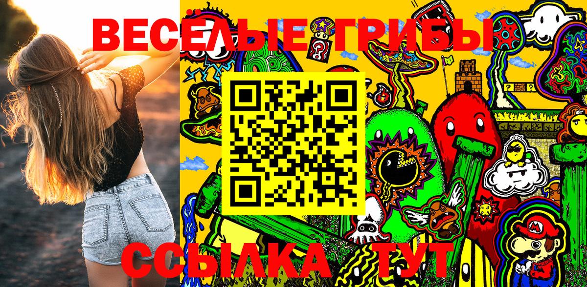 Псилоцибиновые грибы GOLDEN TEACHER Петрозаводск