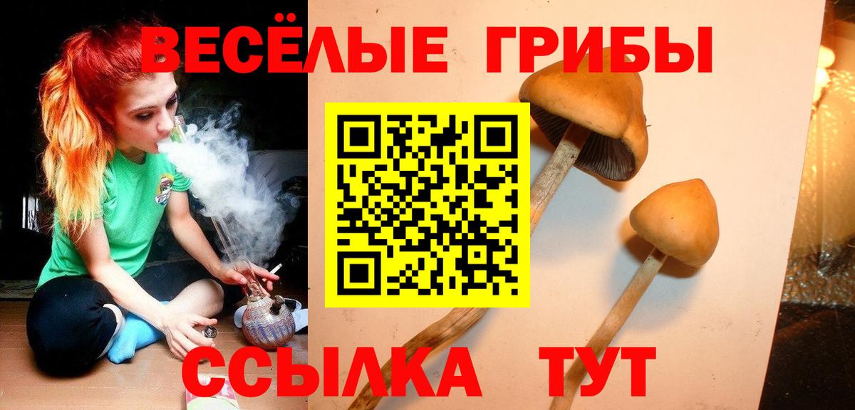 Петрозаводск  Псилоцибиновые грибы прущие грибы  Галлюциногенные грибы мицелий  Вход с VPN 